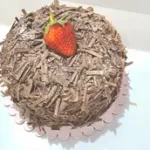 Forest Chocolate Mini
